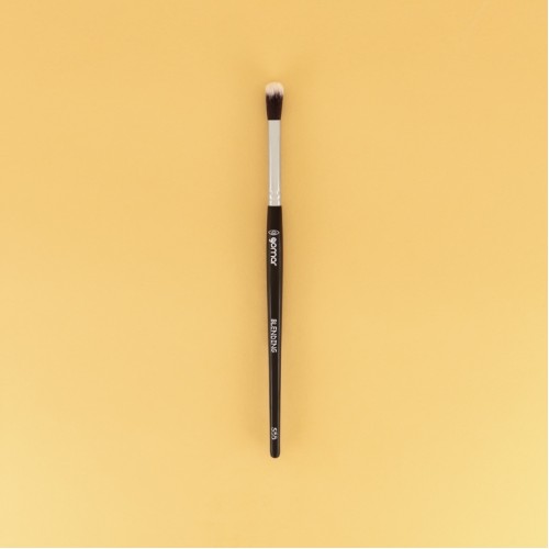 Blending S55